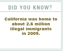 Did You Know?