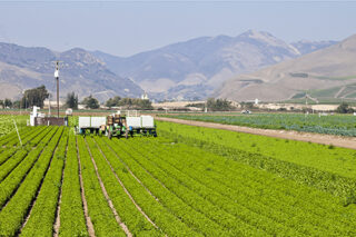 CaliforniaFarms