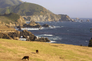 CentralCoast