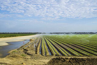CentralValleyFarmWatering