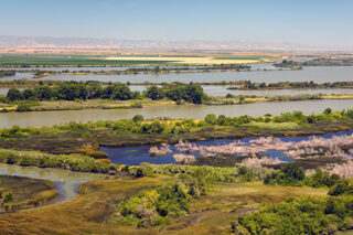 DeltaMinerSlough