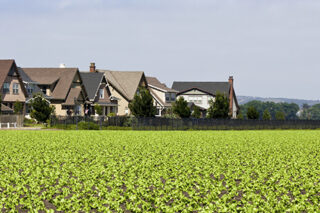 FarmBorderingSuburbs