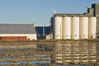 FloodedFarm