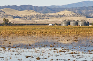 Harvested Rice Paddy And Silos In Northern California