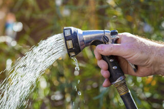 Watering