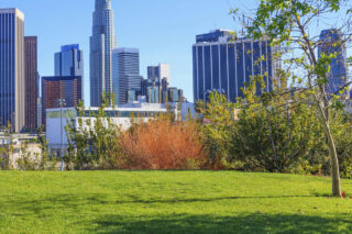 photo - Skyscrapers of Los Angeles Skyline