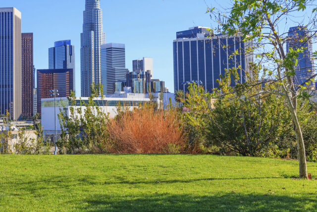 photo - Skyscrapers of Los Angeles Skyline