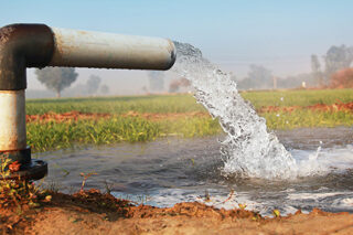 Watering In Wheat Farm