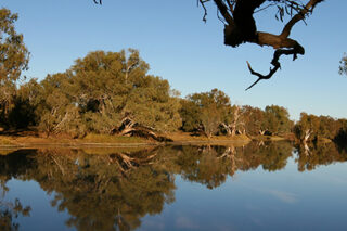 Reflections Of Trees And Sky On A Calmly Flowing River