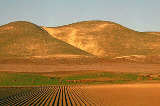 San Joaquin From The Pacific Starlight