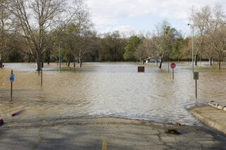 StreetFlood