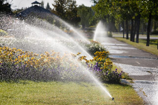 Blog LawnsSprinklers
