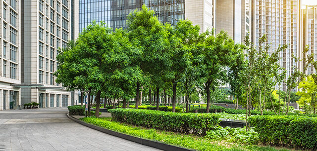 Park And Modern Buildings In City