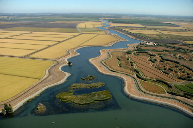 photo - Delta Farming