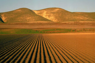 San Joaquin Valley