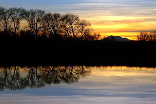 Sunset Delta Riparian