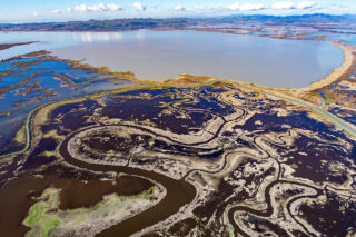 photo - Delta - Carson Jeffres