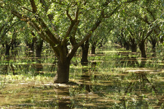 Photo of flooding