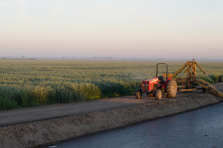 JRC Crops Fields 6216