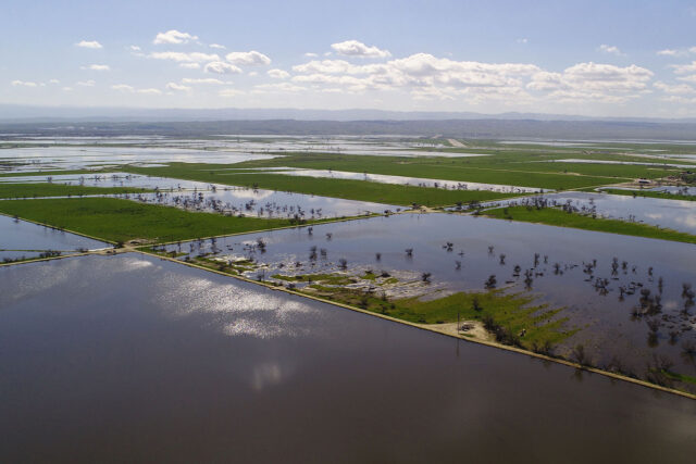 image of Kern Water Bank recharge ponds