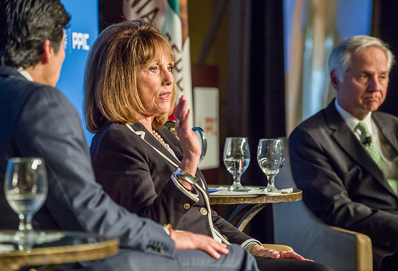 Senate Republican Leader Patricia Bates