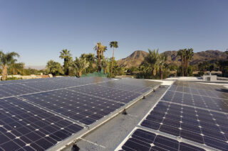 photo - solar panels and palm trees