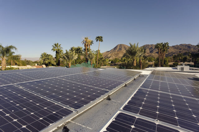 photo - solar panels and palm trees