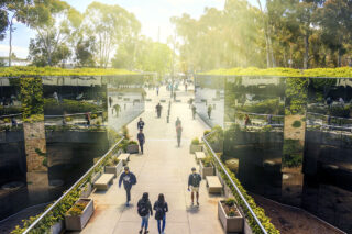 photo - Students Walking on UCSD Campus