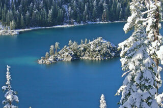 Snow Covered Pines, Sapphire Lake