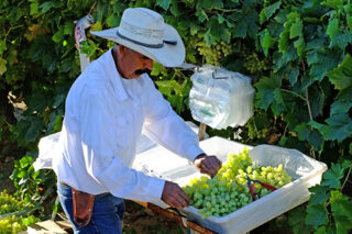 Water Future San Joaquin Valley Event