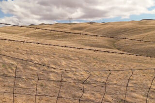 Photo of dry land from drought