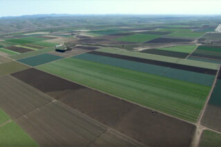 Photo of San Joaquin Valley farmland