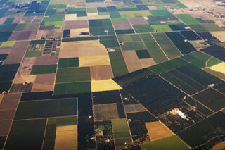 photo - Agricultural Fields in Central Valley, California