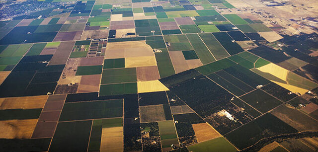 photo - Agricultural Fields in Central Valley, California