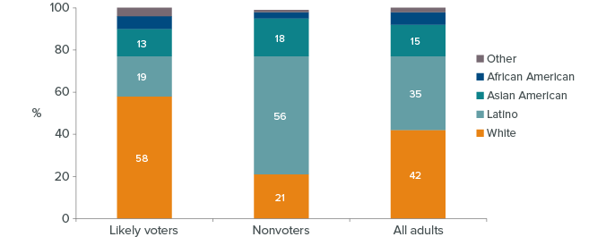 Figure 2: Voters do not represent the state's racial diversity