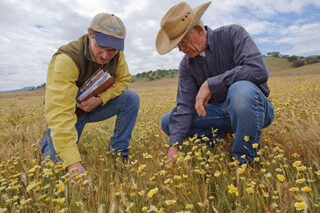 photo - Two Men in Field