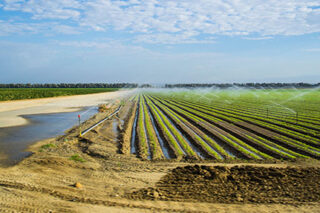 photo - Farm in the Central Valley, California