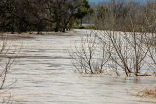 photo - Flooded River