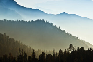 View of Misty Mountains and Trees in Forest