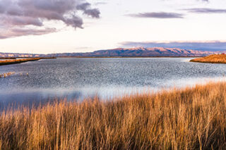 photo - wetlands