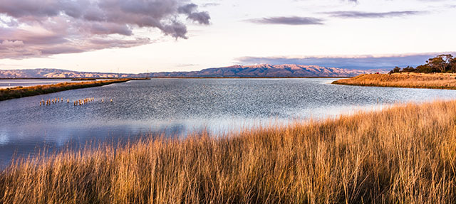 photo - wetlands