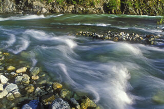 Nordheimer Creek and Salmon River confluence.