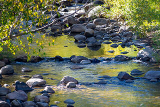 photo - West Fork of the Carson River, Alpine County, California