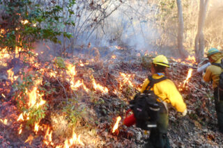 photo - Yurok controlled fire