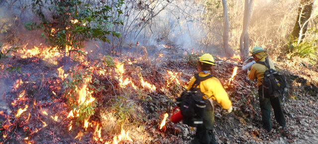 photo - Yurok controlled fire