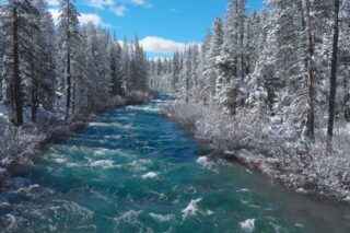 Whitewater Rapids in California Forest, in Winter