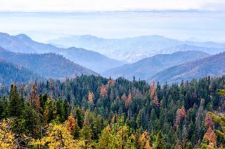 photo - Sequoia National Park Mountain Landscape in Autumn