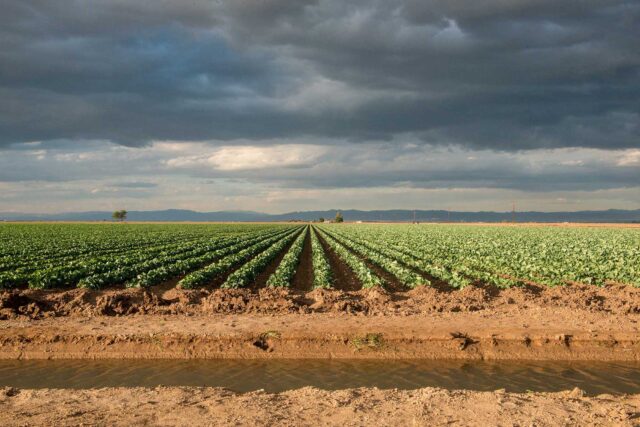 photo - Agriculture Field in Brawley, California - Pixel CA DWR
