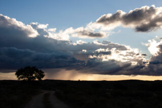 photo - Storm on the Horizon