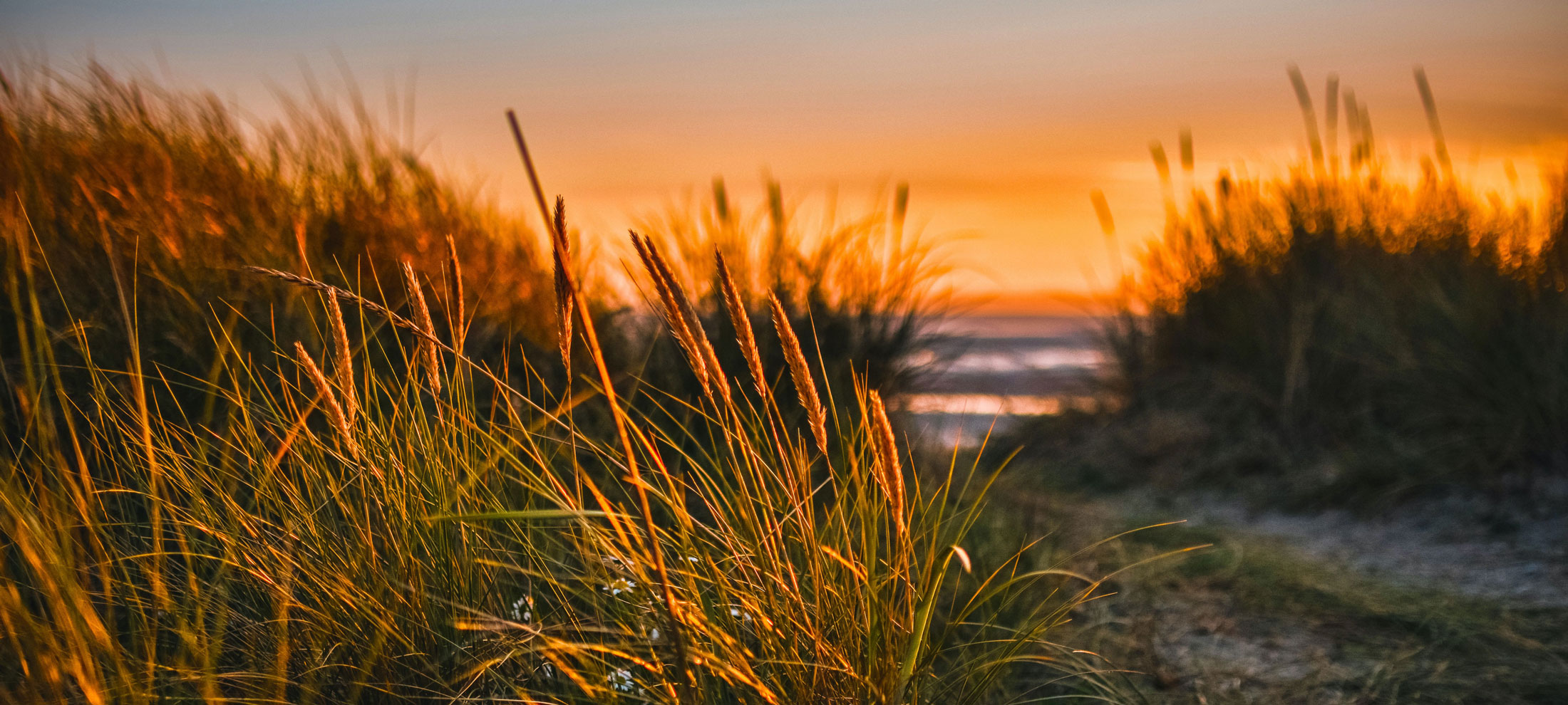 Image for Sign up for Email Updates